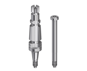 TRANSFERT DENTSPLY ANKYLOS C/X