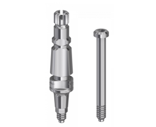 TRANSFERT GLOBAL D IN KONE