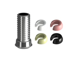 EASY FIX - KIT SEEGER + T-BASE