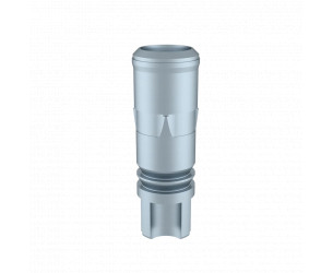ELOS ANALOGUE 3D STRAUMANN TLX