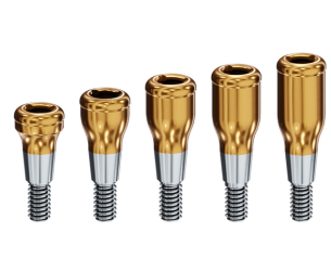 STRAUMANN CONE MORSE
