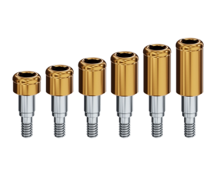 BIOMET 3I CERTAIN (Int.)