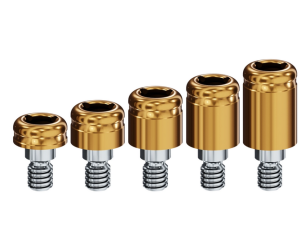 ZIMVIE OMNILOC(CALCITEK)